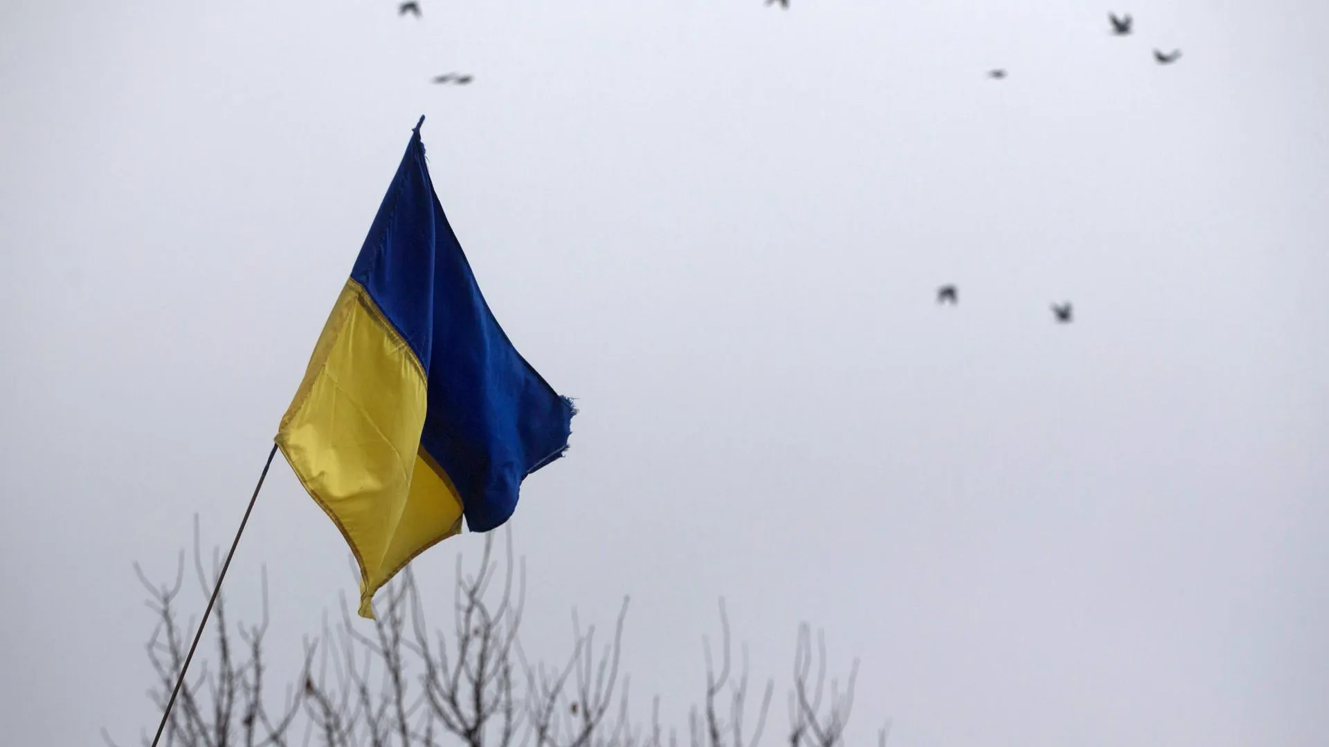 Аналитик Джерелиевский объяснил причину передвижений ВСУ на запорожском направлении