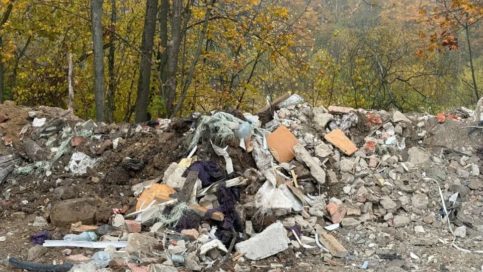 Фото: Министерство экологии и природопользования Московской области