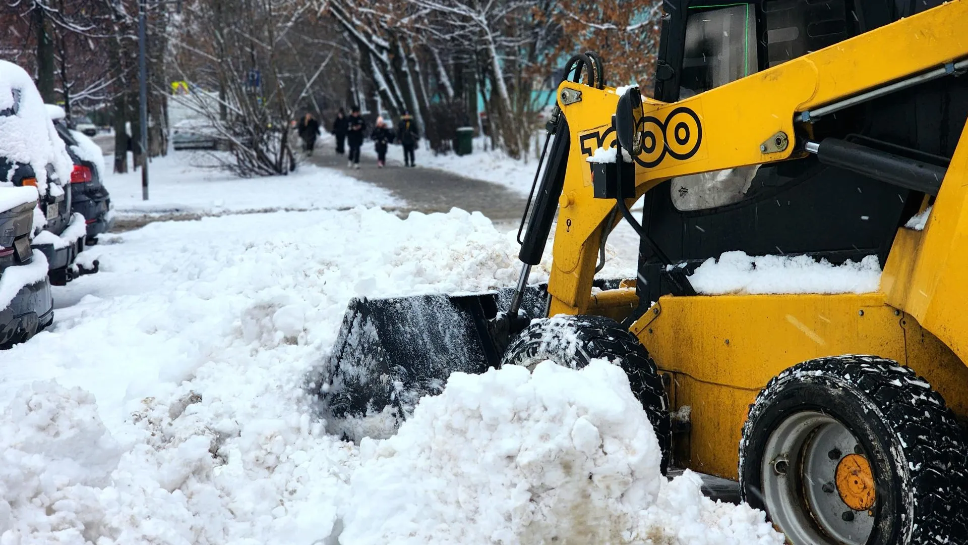 Фото: Мария Овчинникова