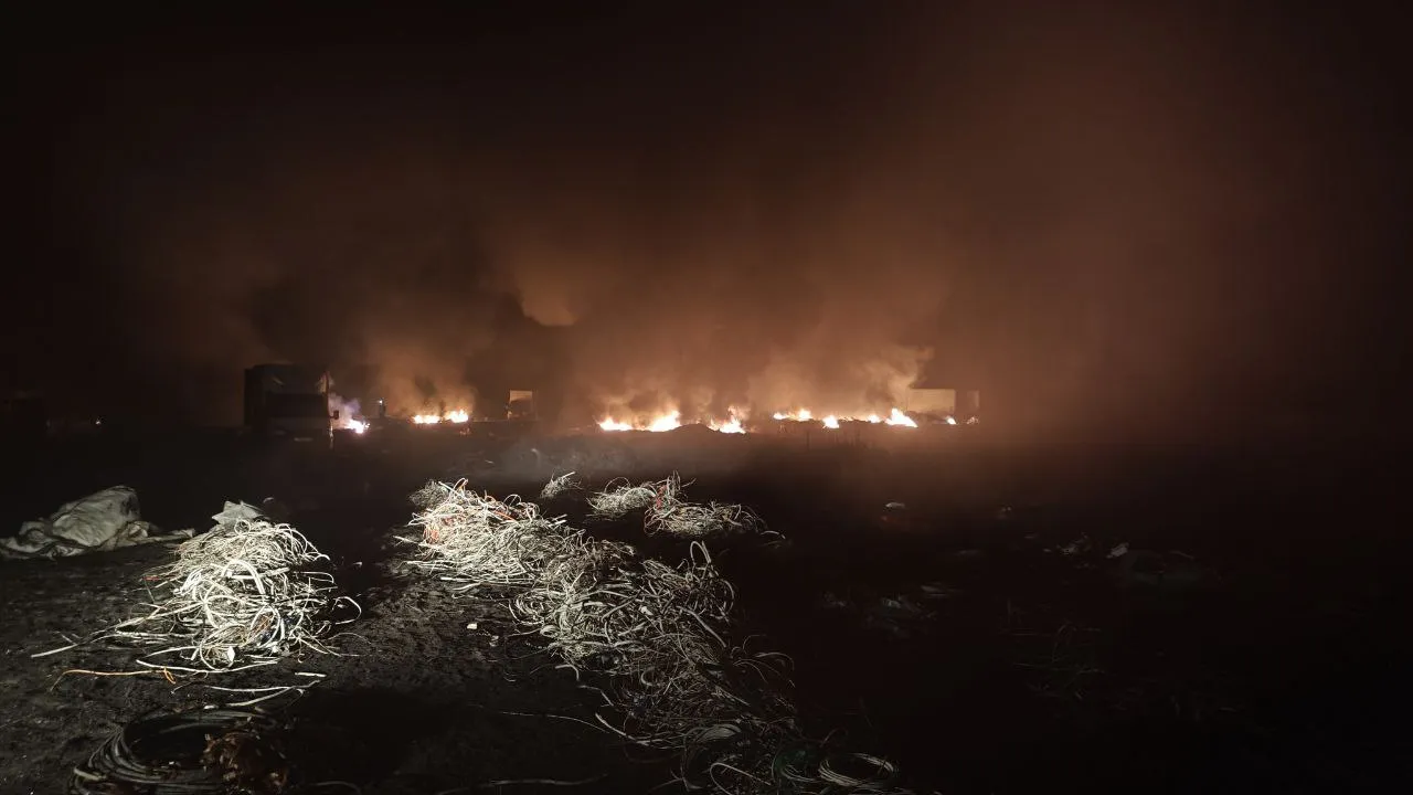 Фото: пресс-служба администрации Орехово-Зуевского округа