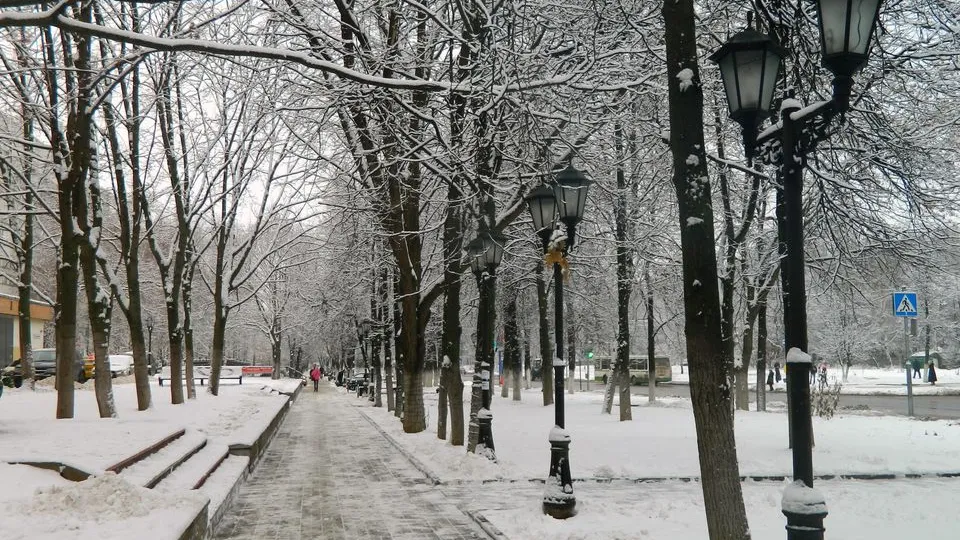 Фото: медиасток.рф