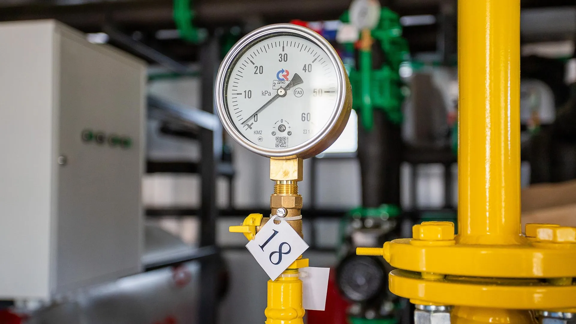 Фото: пресс-служба администрации г.о. Кашира