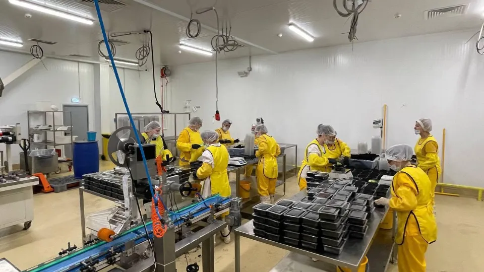 Фото: компания «СиаСтар»