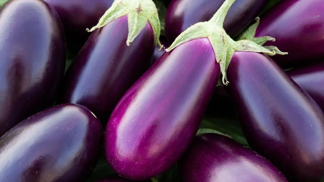 REGIONS/Сгенерировано нейросетью