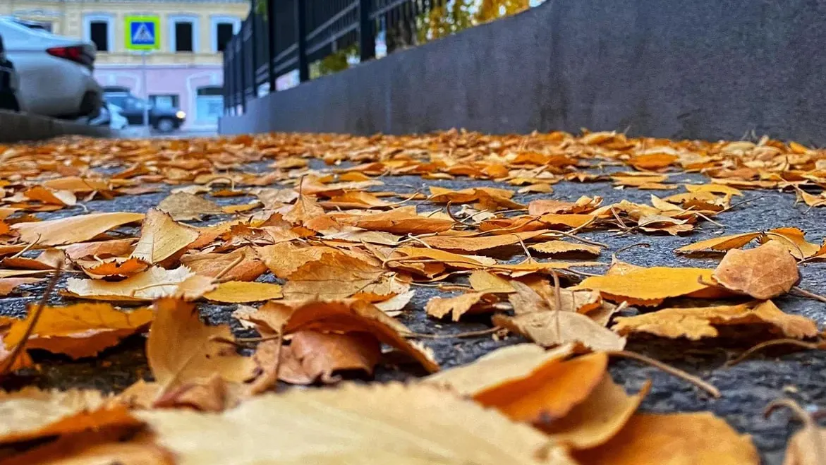 Фото: REGIONS/Антонина Гареева