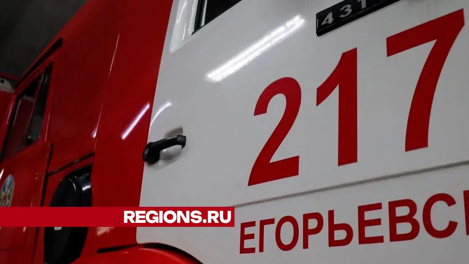 Фото: REGIONS/Василий Тремасов