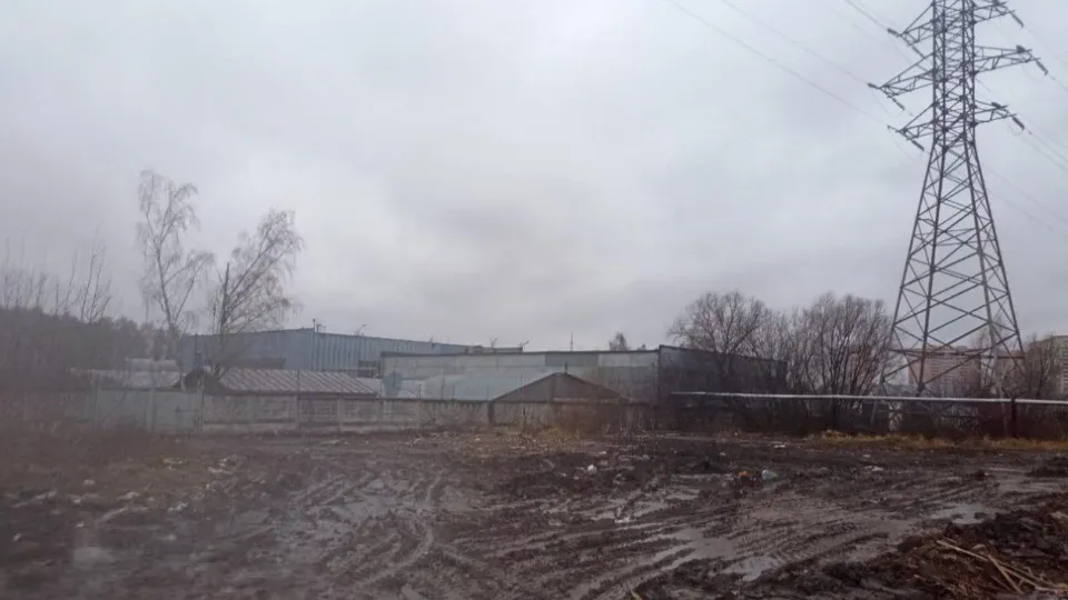 Фото: пресс-служба администрации г.о. Ленинский