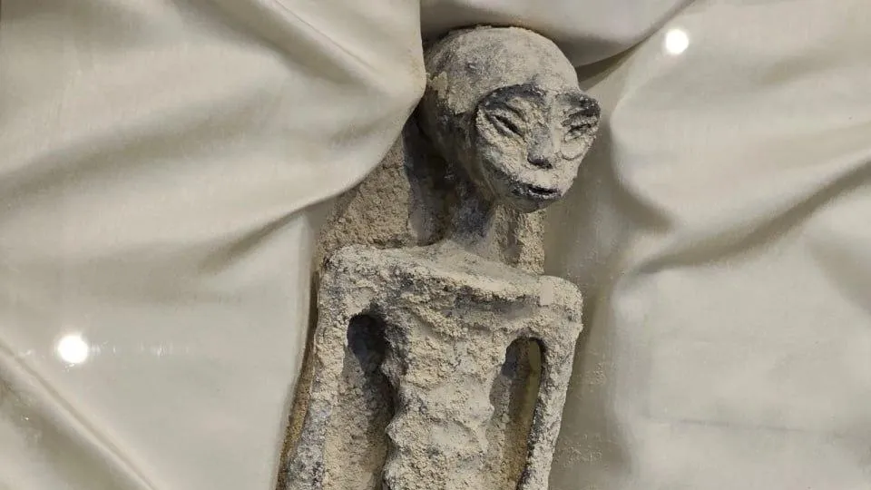 © Telegram-канал SHOT