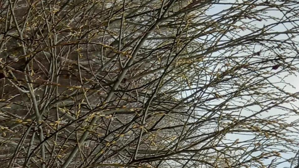 Фото: пресс-служба городского округа Кашира