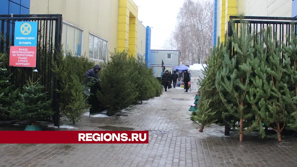 Фото: REGIONS/Василий Тремасов