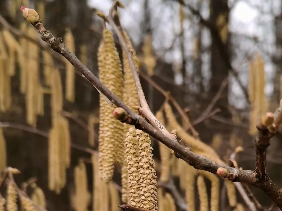 Фото: Константин Кошелев