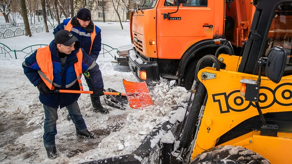 Фото: пресс-служба администрации Одинцовского г.о.