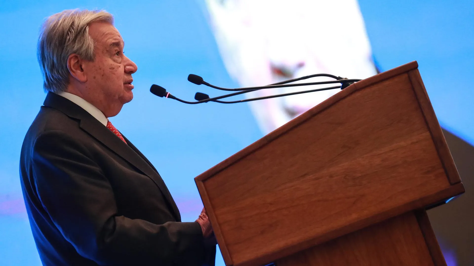 Ameer Al-Mohammedawi