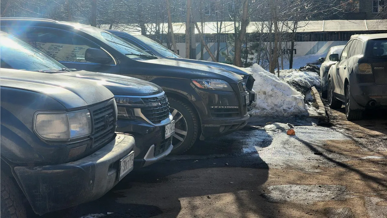 МедиаБанк Подмосковья/Мария Овчинникова