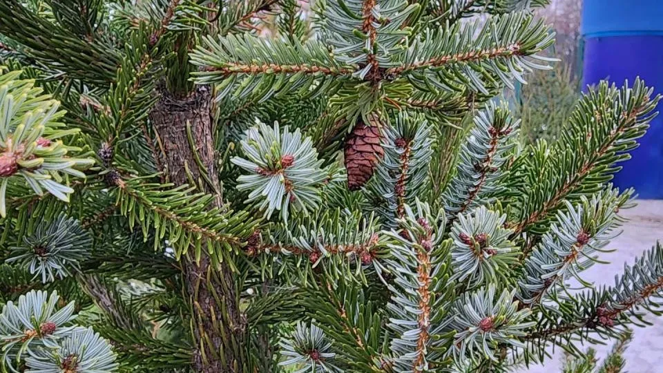 Фото: Медиабанк Подмосковья/Иван Дубров