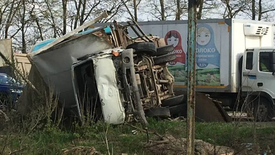 Фото: соцсети