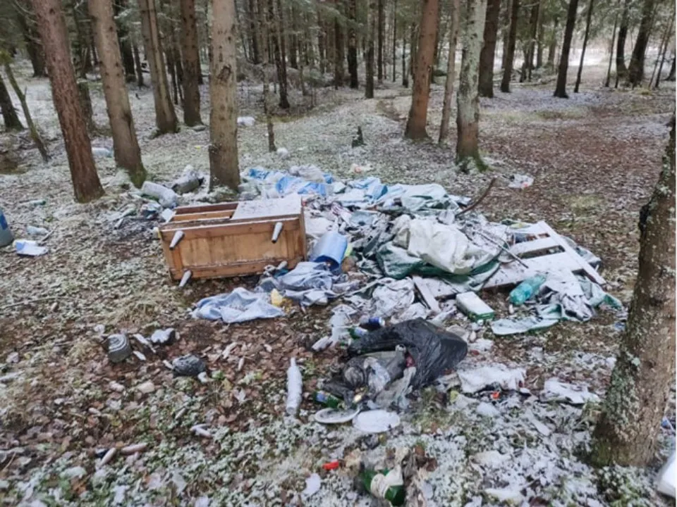 Фото: Комитет лесного хозяйства  Московской области