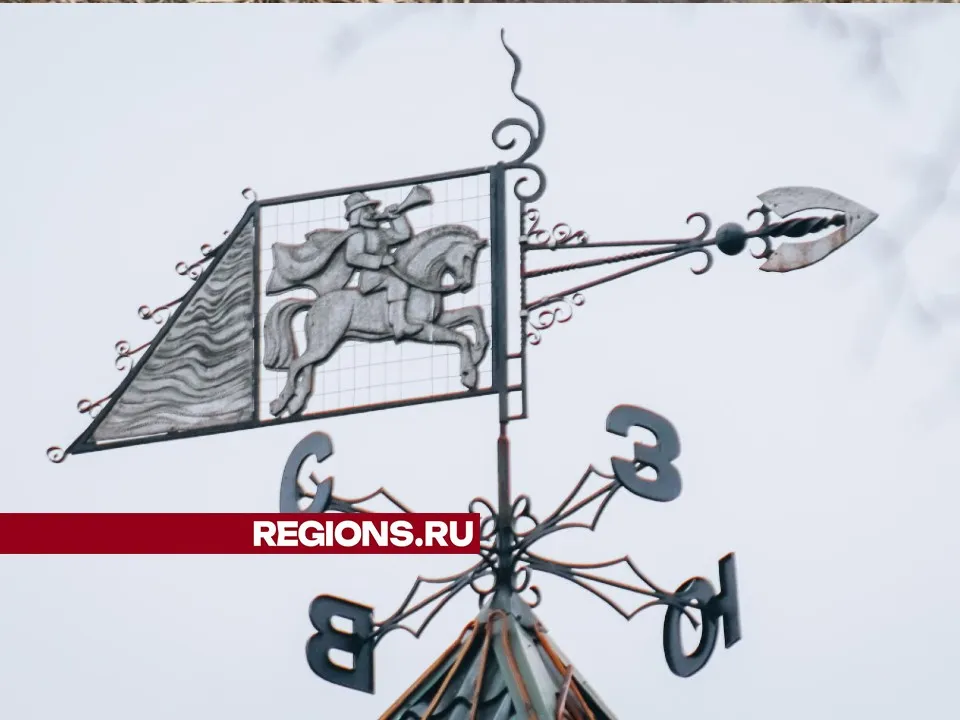 Фото: МедиаБанк Подмосковья/Данила Кирьянов&nbsp;