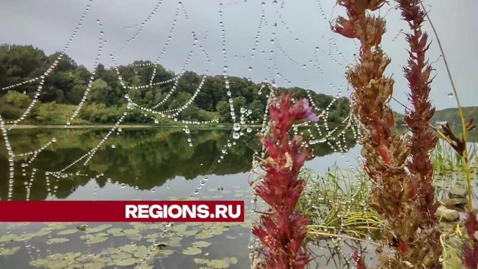 Фото: REGIONS/Алексей Селиверстов