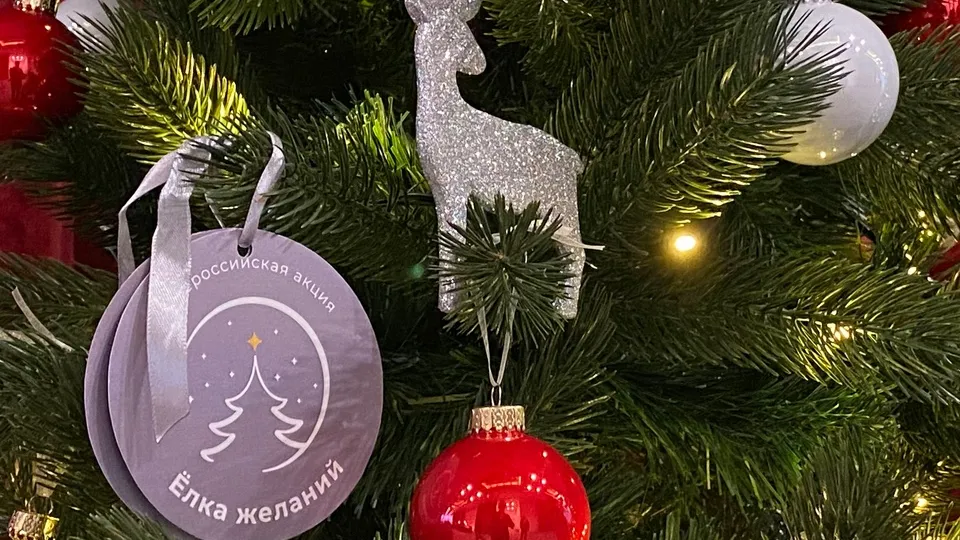 Фото: медиасток.рф