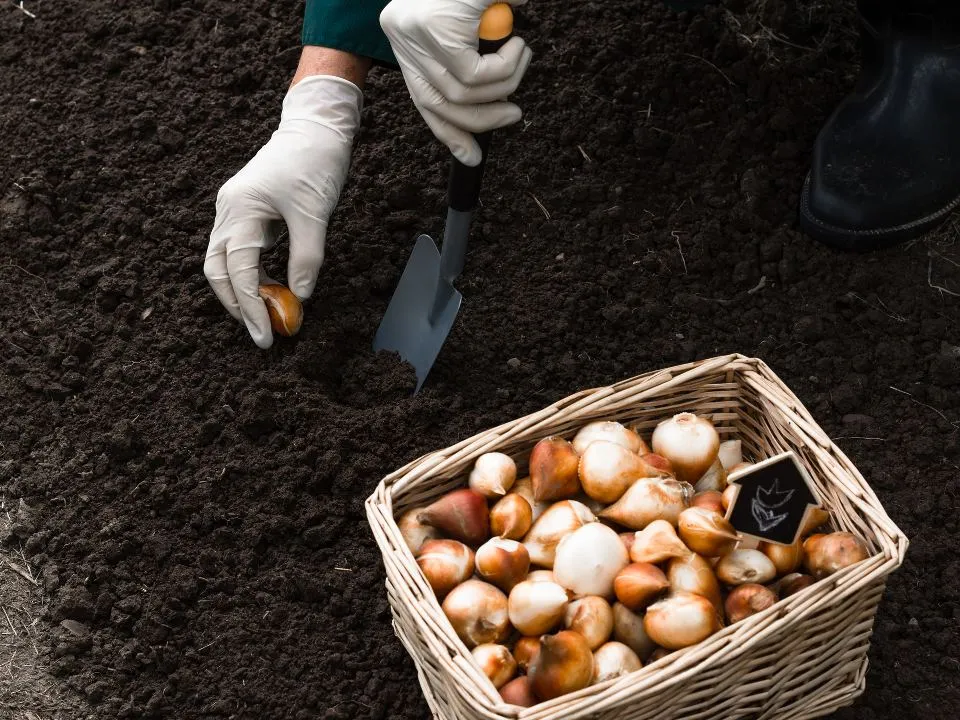 Фото: istockphoto.com/Jurgute