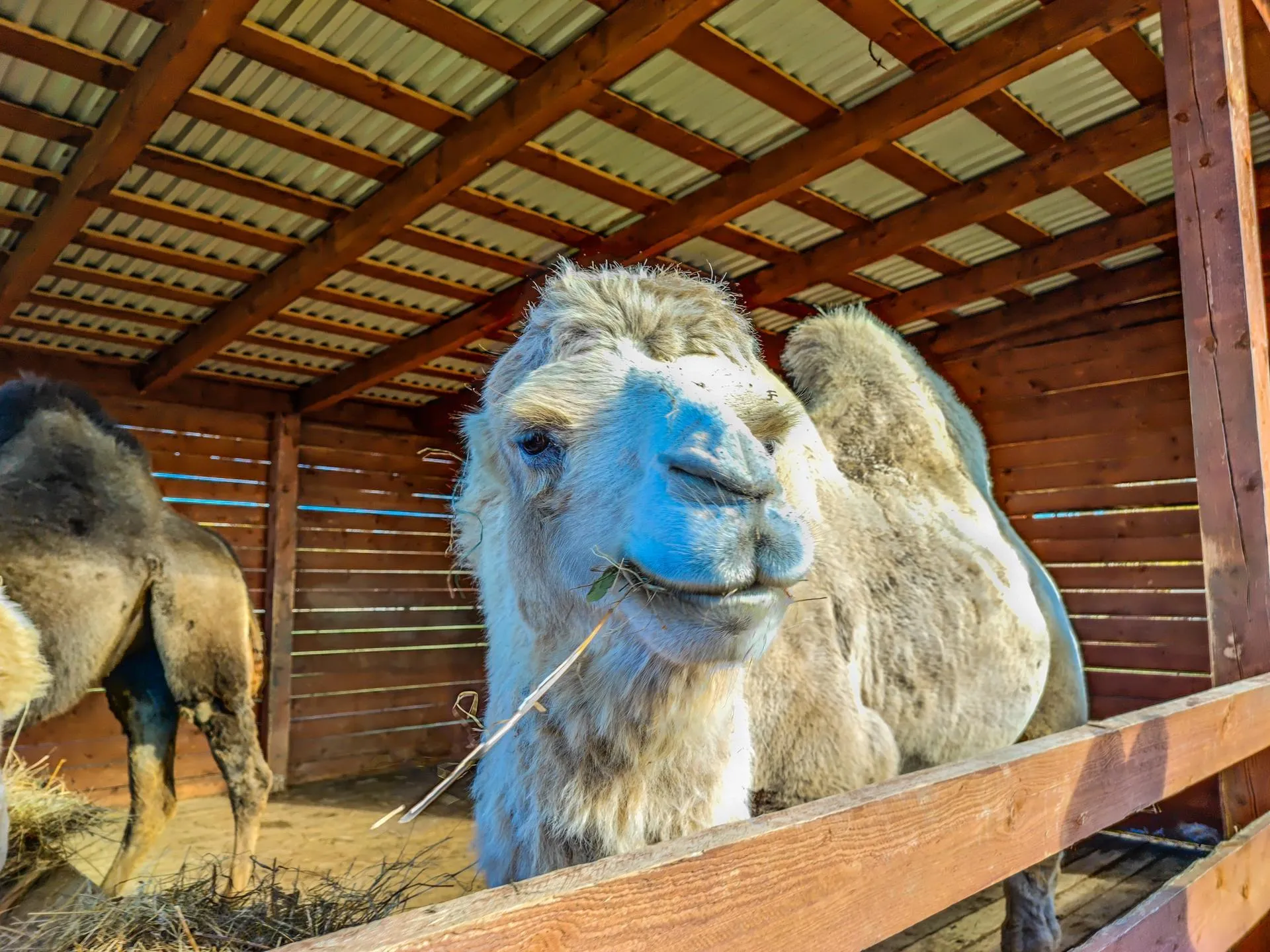 Данила Кирьянов