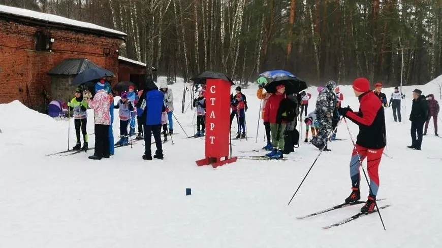 Фото: Пресс-служба администрации Пущина