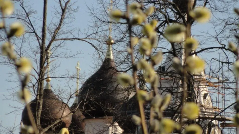 Фото: МедиаБанк Подмосковья/Юрий Комаровский