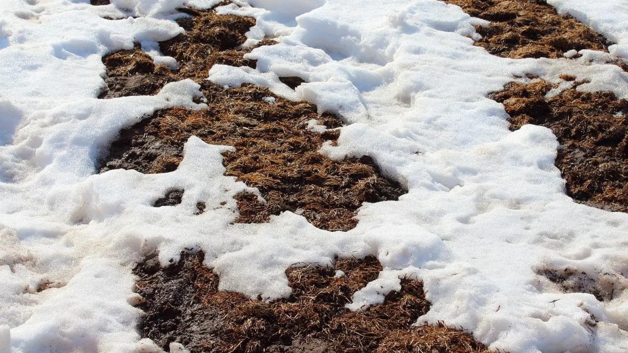 istockphoto.com/Far700