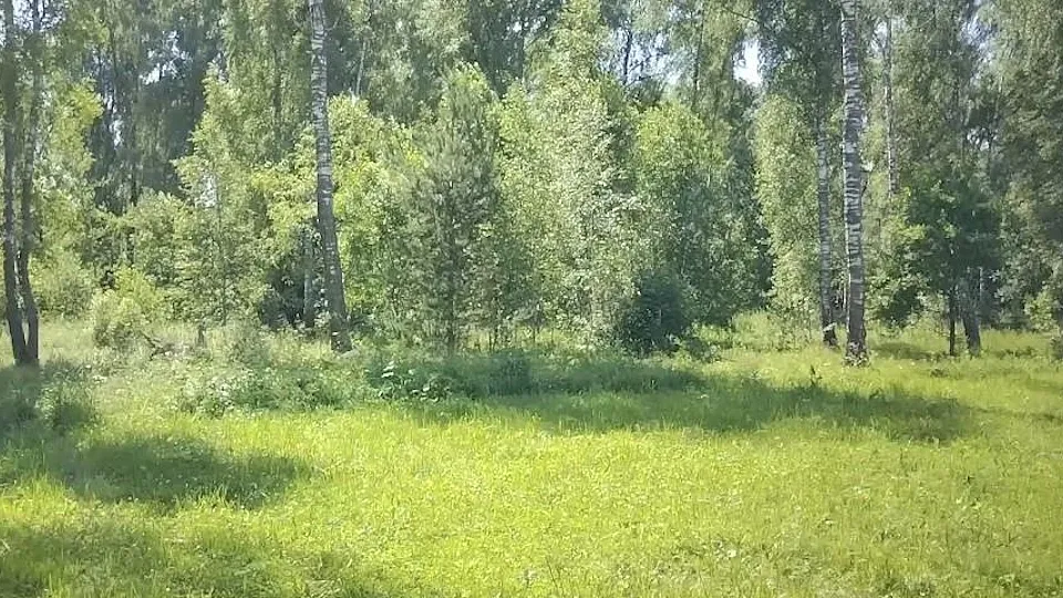 Фото: Минимущества