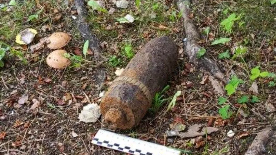 Фото: t.me/mosoblpspas