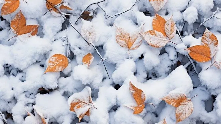 медиасток.рф