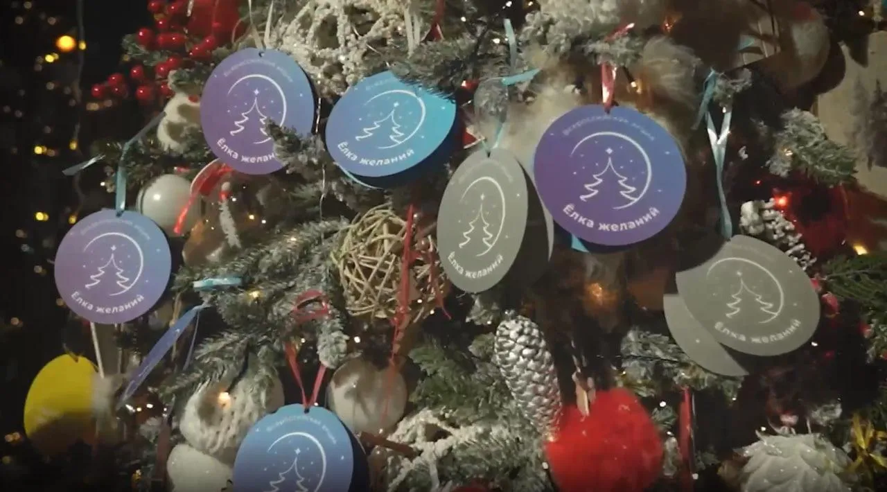 Фото: Министерство социального развития Московской области