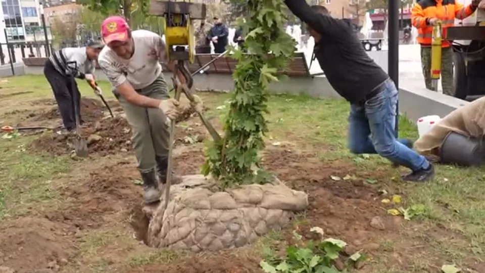 Фото: t.me/Krasnotsvetov_MV