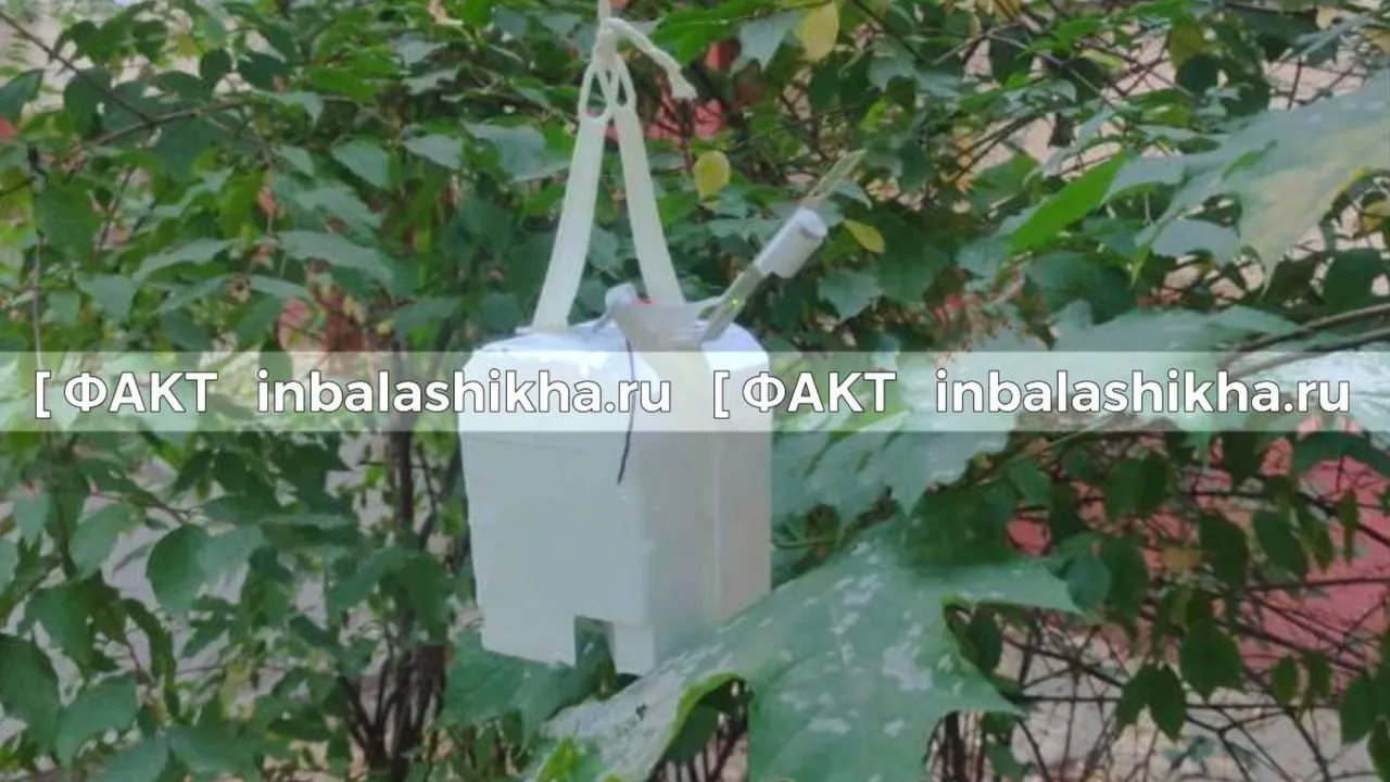 Издание «Факт»