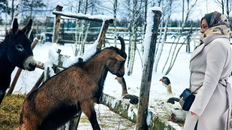 Фото: REGIONS/Мария Панина