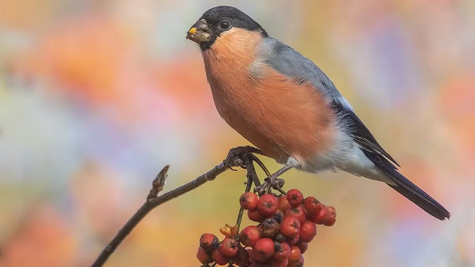 из личного архива Елены Швыдун