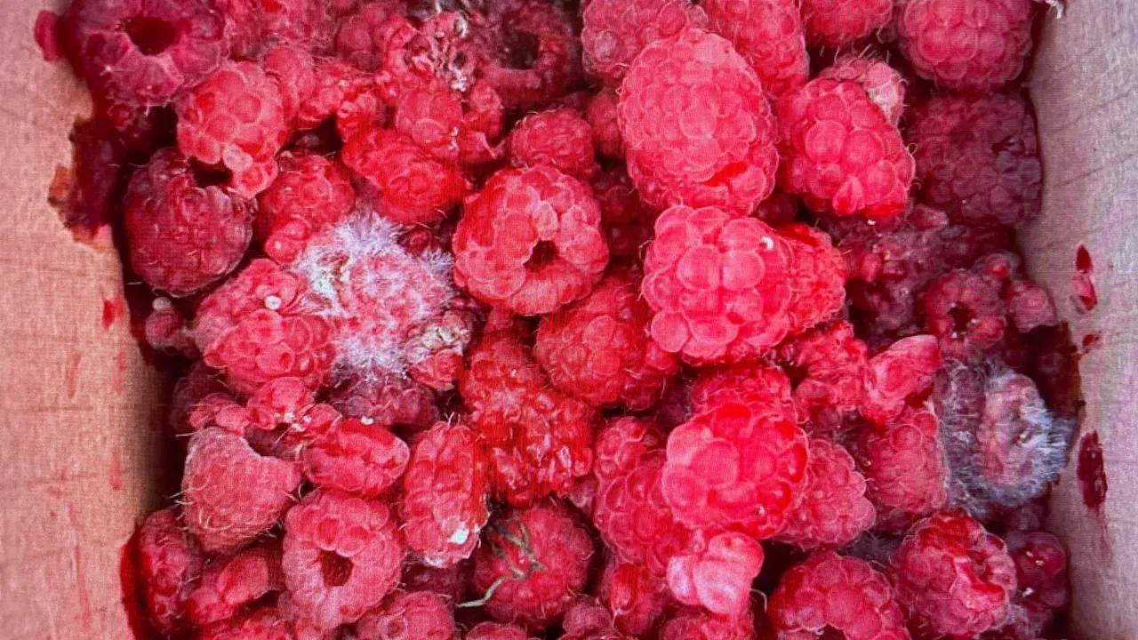 Фото: Екатерина Филиппова