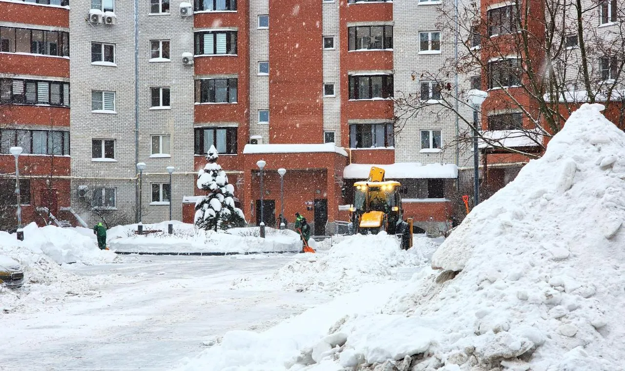 администрация городского округа Дубна