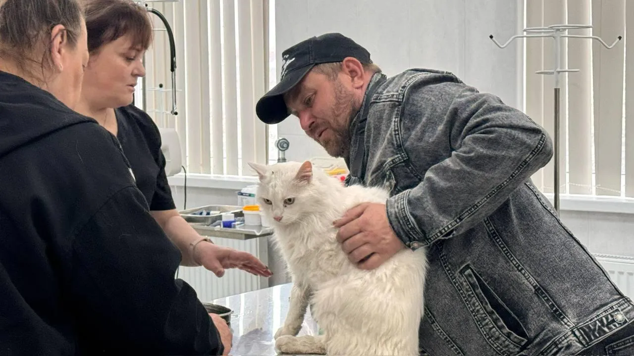 Телеграм-канал губернатора Севастополя Михаила Развожаева