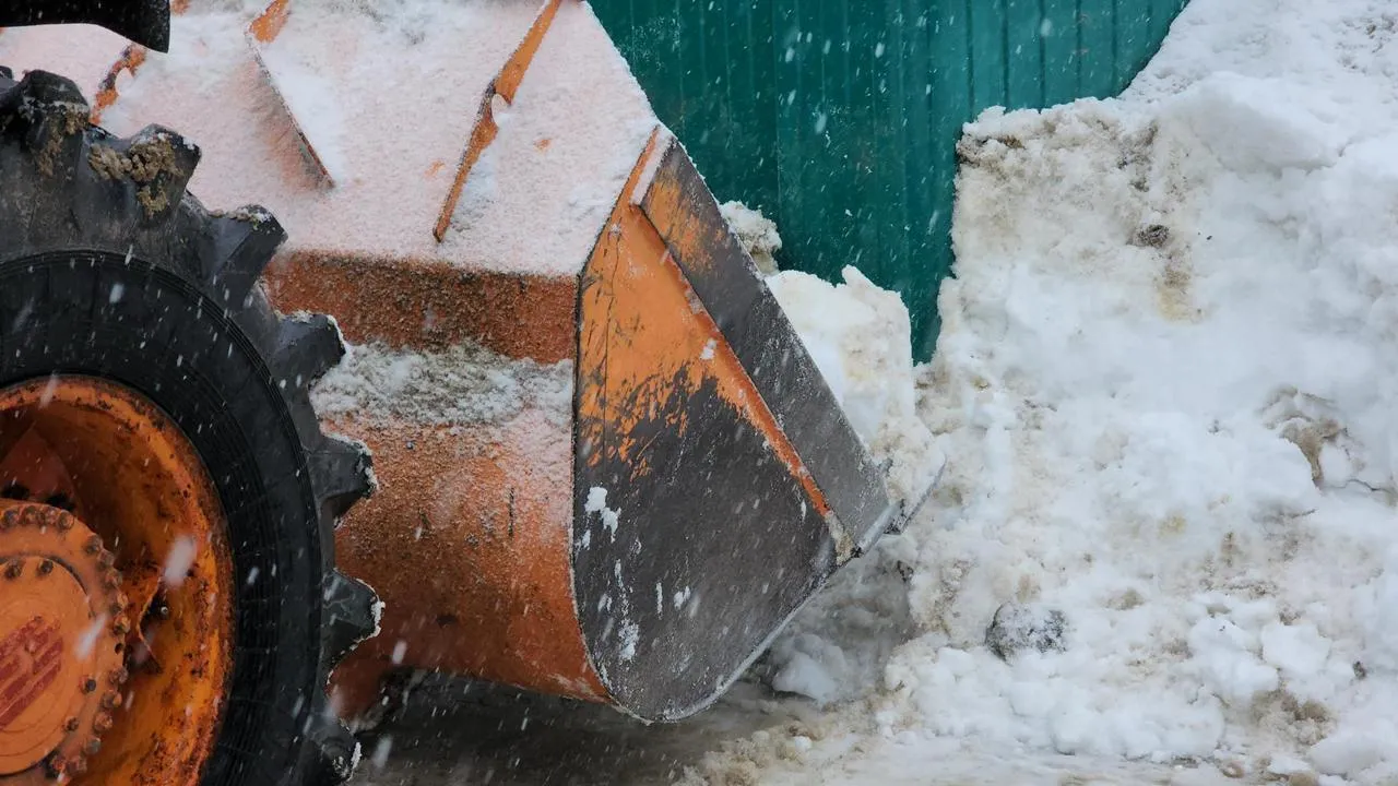 МедиаБанк Подмосковья/Екатерина Данилина