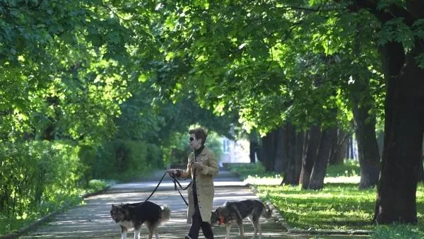Ученые: прогулки на свежем воздухе продлевают жизнь