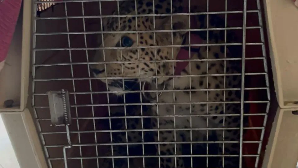 Фото: прокуратура Московской области