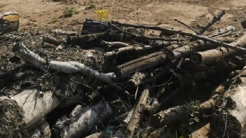 Фото Минэкологии МО.