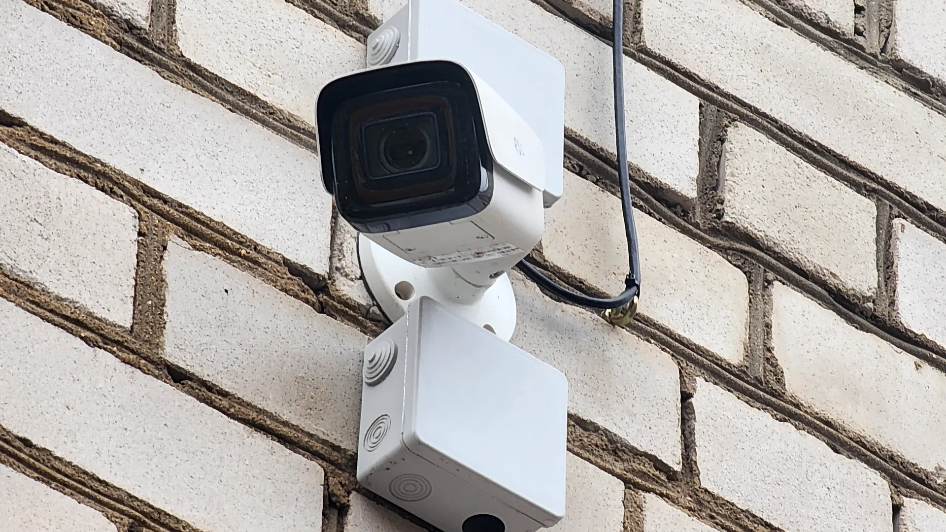 Роман Савельев