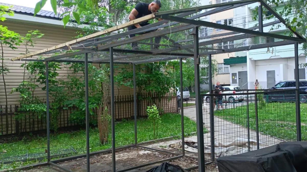 Фото: пресс-служба администрации г.о. Солнечногорск