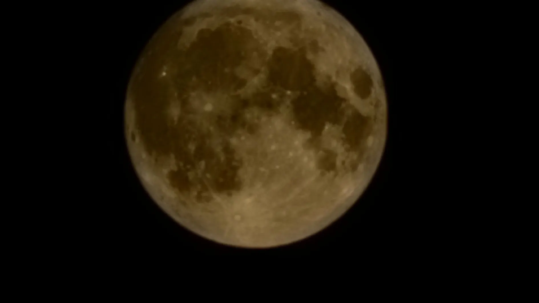 Фото: МедиаБанк Подмосковья/Евгений Лавряшин