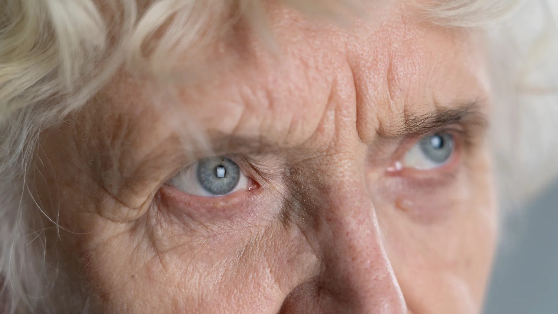 Фото: Изображение от freepik