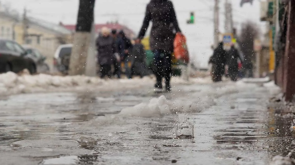 Фото из соцсетей