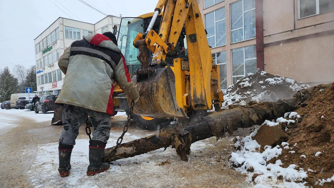 МедиаБанк Подмосковья/Екатерина Данилина